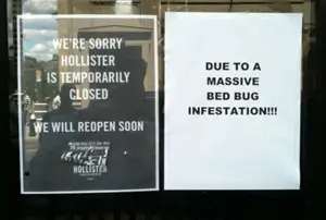 Signs on the front door to Hollister today, courtesy Chris Andrews.